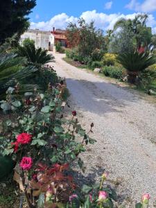 A garden outside Curti Russi