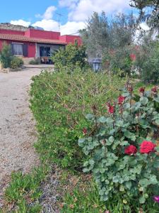 A garden outside Curti Russi