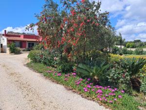 A garden outside Curti Russi