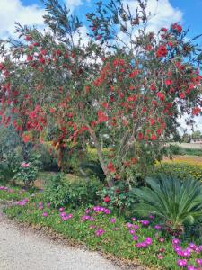 A garden outside Curti Russi