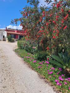 A garden outside Curti Russi