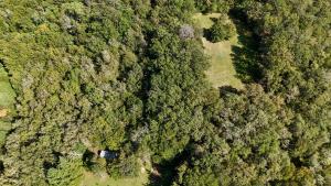 an overhead view of a forest of trees at La Papèterie chambres de charme in Gavaudun