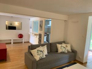 a living room with a gray couch in a room at T2 en rez-de-jardin en plein coeur de la Londe les Maures in La Londe-les-Maures