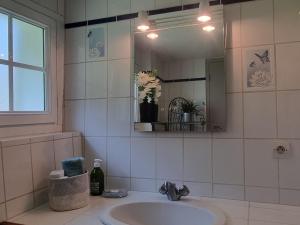 a bathroom with a sink and a mirror at Gite de l'étang in La Puisaye