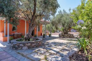 an orange house with a tree and a patio at Aretousa Studios & Apartments in Skopelos Town