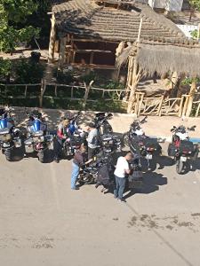 Επισκέπτες που μένουν στο Hotel Safari Week end