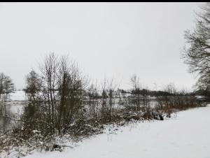 Seeblick v zimě