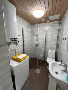 a bathroom with a shower and a sink and a toilet at Kodikasta majoittumista hyvällä sijainnilla! in Kankaanpää