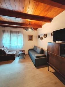 ein Wohnzimmer mit Couch und Flachbildfernseher in der Unterkunft Varljivo leto, Fruska gora in Čortanovci