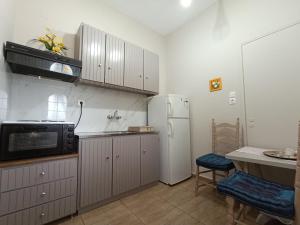 a kitchen with a white refrigerator and a microwave at Irene' s Paradise in Skopelos Town +119 photos