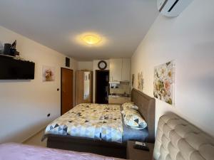 Postel nebo postele na pokoji v ubytování Apartman Dejan Rafailovici