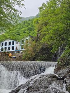 Příroda nedaleko hotelu