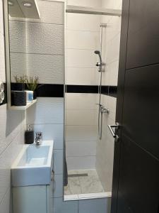 萨拉热窝Apartments Old Town的一间带水槽和玻璃门淋浴的浴室 更多48张照片