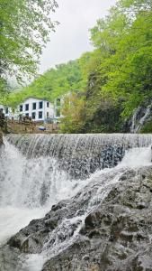 Příroda nedaleko hotelu