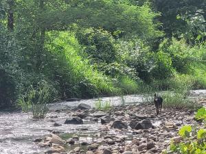 Galeriebild der Unterkunft Mrittika Farms in Dhasai
