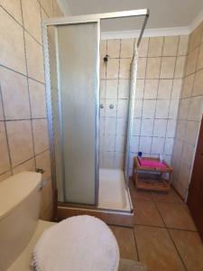 a bathroom with a shower with a toilet and a rug at Annes Place in Vosburg +6 photos