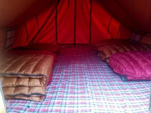 Postel nebo postele na pokoji v ubytování Balaji camping kedarnath + 16 fotografií