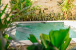 Bassein majutusasutuses Lombok Souls või selle lähedal