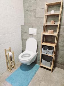 a bathroom with a toilet in a room at Lesní apartmán Hamry in Hamry