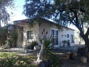 a small white house with a tree in front of it at Rietfontein farmstay in Prince Albert