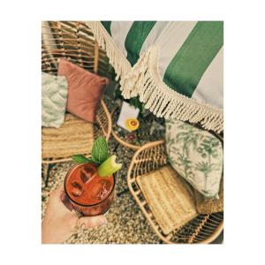 a person holding a small plant in a pot at Môr Heli Guest House Criccieth in Criccieth +72 photos