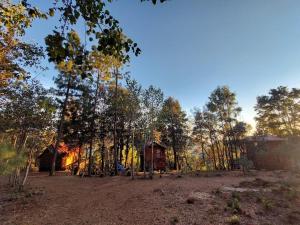 domek na środku lasu z drzewami w obiekcie Cabañas en el Bosque de San José del Pacífico 5 w mieście San Mateo Río Hondo