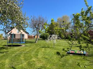 un cortile con una barca nell'erba di Urlaub Natur Pur OVS 115 a Blowatz