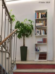 Knihovna v bed and breakfast