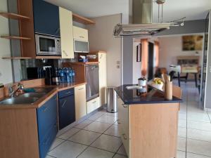 a large kitchen with blue cabinets and a sink at Gîte Refuge des Amis in La Gaubretière