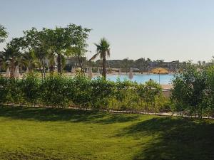 a view of a pool with palm trees and a lawn at 3bedroom chalet swan lake North coast- 388B in Zāwiyat al ‘Awwāmah