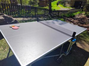 Stolní tenis v ubytování Apartmá Gister ski and wellnes nebo okolí