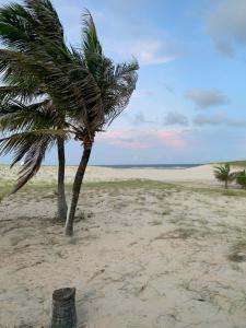 a couple of palm trees on a sandy beach at Pousada Soleil de Genipabu in Extremóz