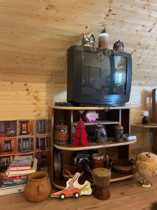 TV a/nebo společenská místnost v ubytování Riza Guest House