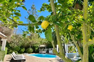 Bazén v ubytovaní Stylish Ibiza Villa Near Beaches Private Pool & Lush Garden alebo v jeho blízkosti