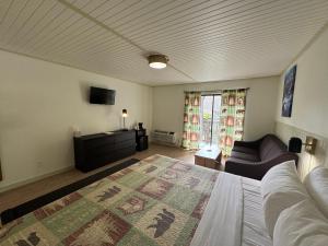 a bedroom with a bed and a couch and a television at Ski Mountain Lodge in Gatlinburg