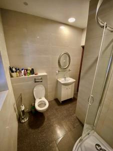 a bathroom with a toilet and a sink at Dom na Mazurach dla kilku rodzin! Jedyny taki! HACIENDA in Radzieje +15 photos