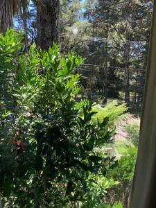 a view of a bush from a window at Hotel e Spa Provençal in Canela +132 photos