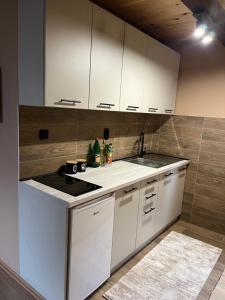 A kitchen or kitchenette at Apartments Bogdanović