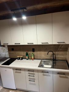 A kitchen or kitchenette at Apartments Bogdanović