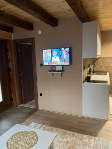 A television and/or entertainment centre at Apartments Bogdanović