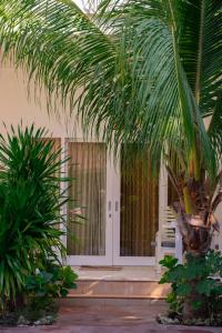 Zahrada ubytování Gilibong Bungalows + 37 fotografií
