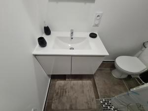 łazienka z białą umywalką i toaletą w obiekcie Riviera des Alpes w Aix-les-Bains