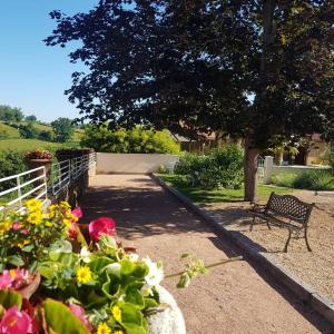 a bench sitting under a tree next to a bunch of flowers at Gite de la Réserve in Coublanc
