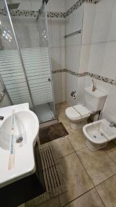 a bathroom with a sink and a toilet and a shower at Departamentos Turísticos Saavedra in El Bolsón