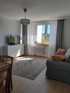 Μια τηλεόραση ή/και κέντρο ψυχαγωγίας στο Apartament Mech i Paproć