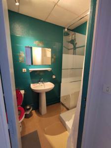 baño verde con lavabo y aseo en Gite le Buron, en La Bourboule 19 fotos más