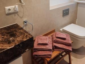 a bathroom with a toilet and a counter with towels at Seeapartment Wustrau in Wustrau