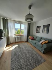 ein Wohnzimmer mit einem blauen Sofa und einem Teppich in der Unterkunft Apartament Mech i Paproć in Ruciane-Nida