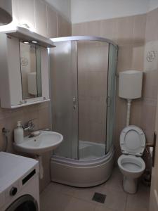a bathroom with a shower and a toilet and a sink at Apartman Relax in Bijela