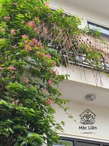 Κήπος έξω από το Mộc Liên Homestay +17 φωτογραφίες